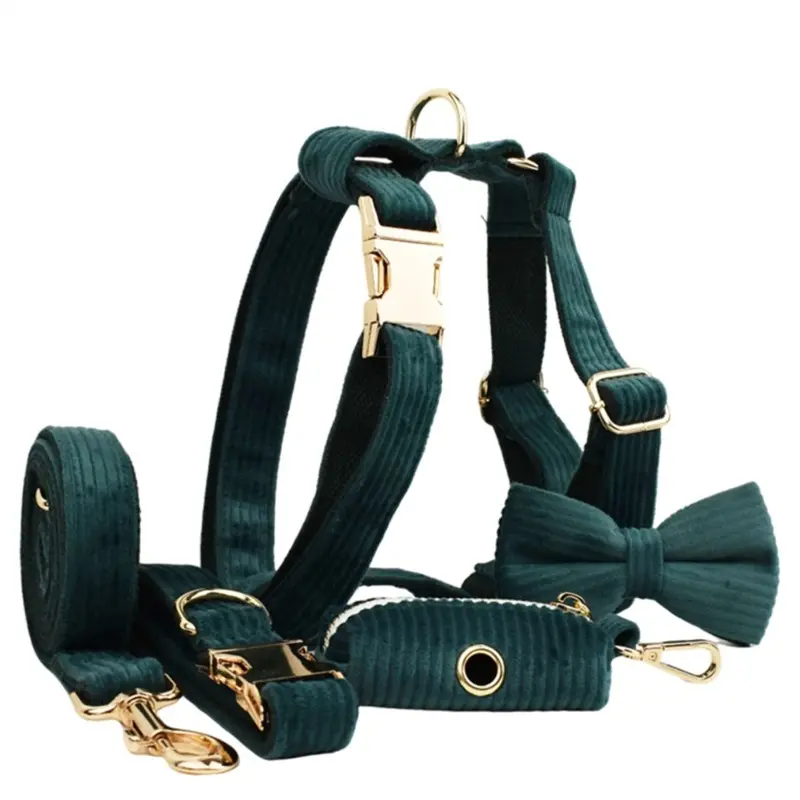 Exogio Green Dark Cloth Pet Collar Dog Outdoor Leash Medium