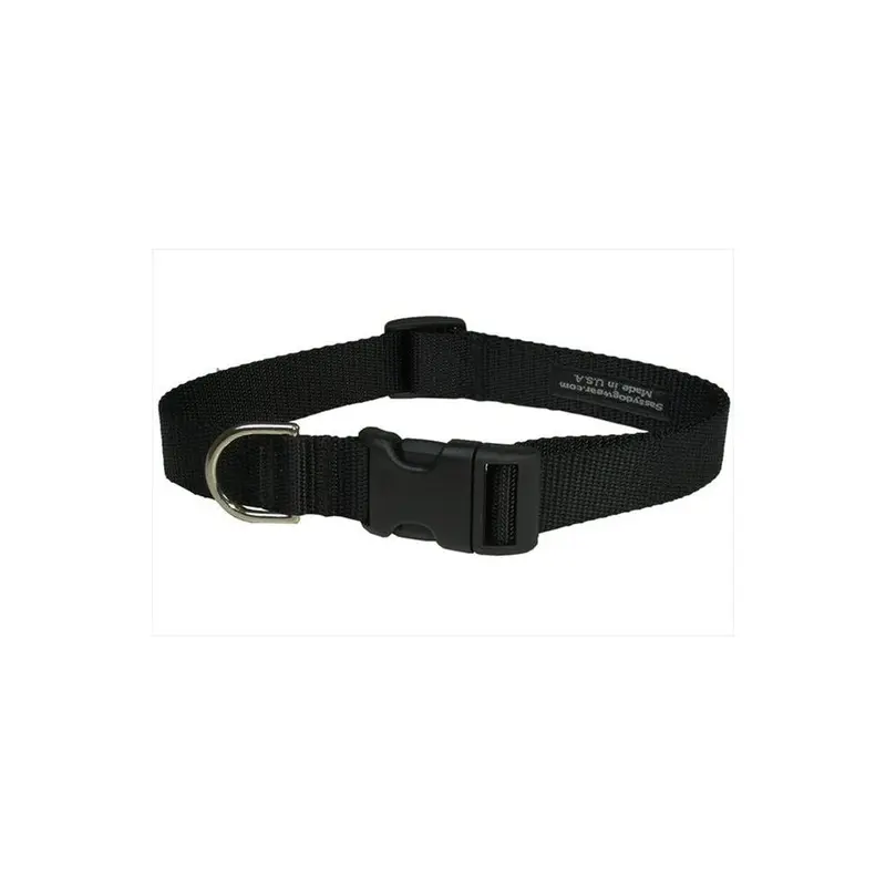Sassy Dog Wear Black Solid Sm-C Nylon Webbing Dog Collar, - Small