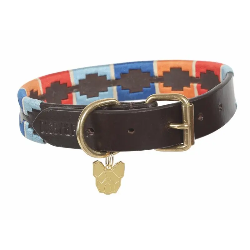 Shires Turquoise/Red/Orange (Xl - Neckline: 20In-24In, ) Leather Dog Collar