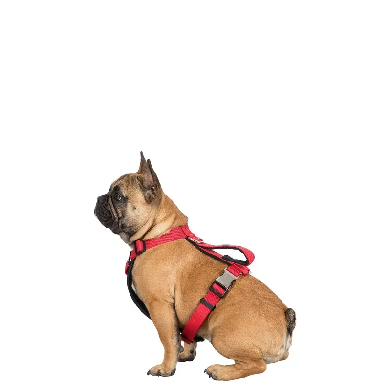 Unisex Red Trespaws Pet Car Safety Harness Tanked Medium