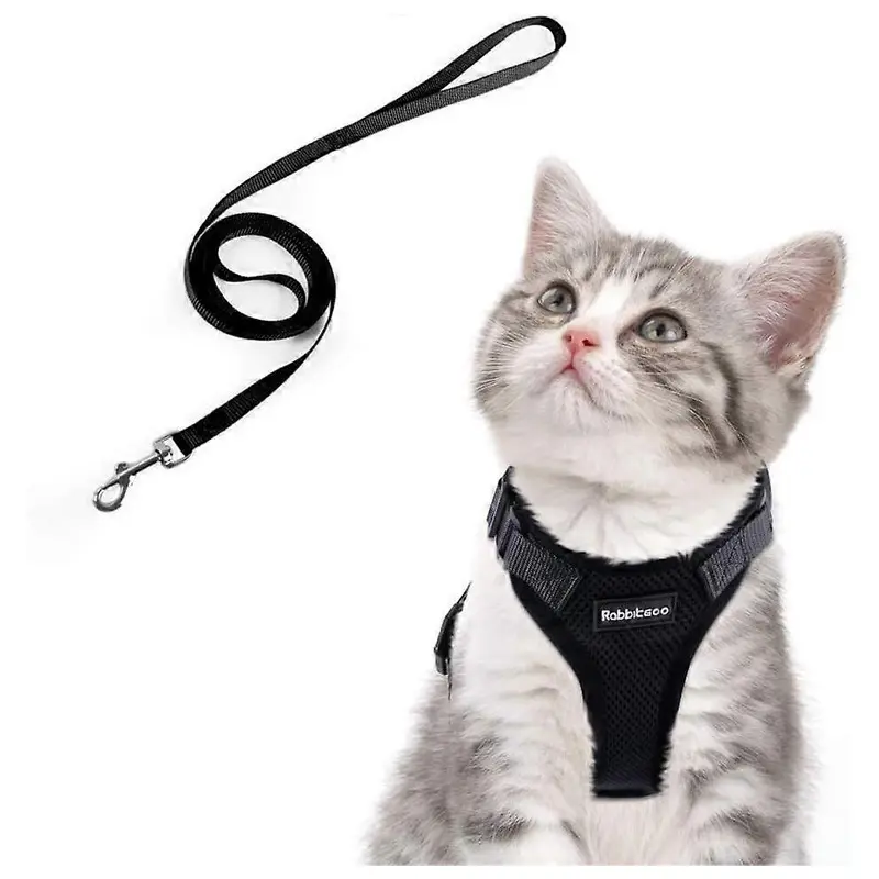 (As show, One size) Pet Leash, Reflective Harness, Rabbit, Cat