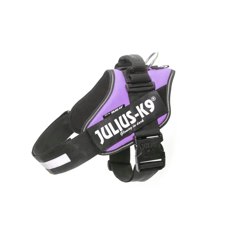 Julius-K9 IDC-Powerharness, Size 3, Purple