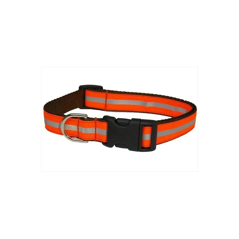 Sassy Dog Wear Orange Reflective - 1-C Reflective Dog Collar, - Small