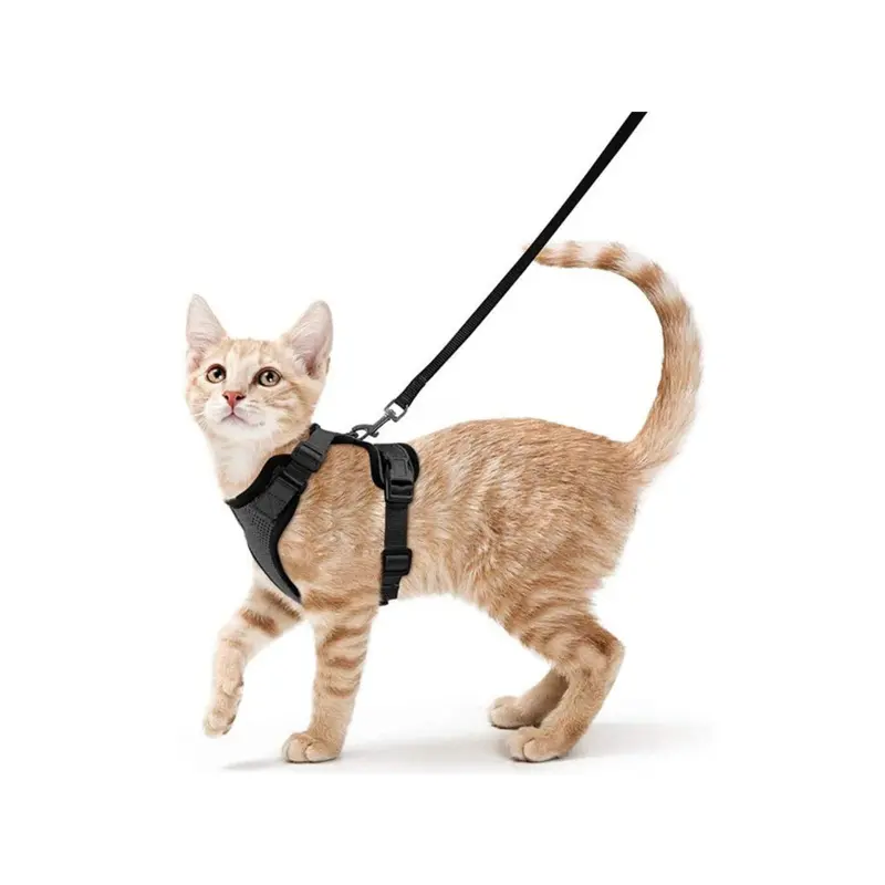 Zeuxo Black Escape-Proof Cat Harness