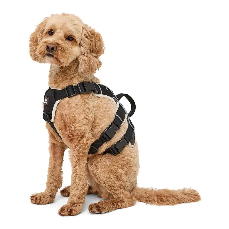 3 Peaks Excursion Dog Harness Black Small