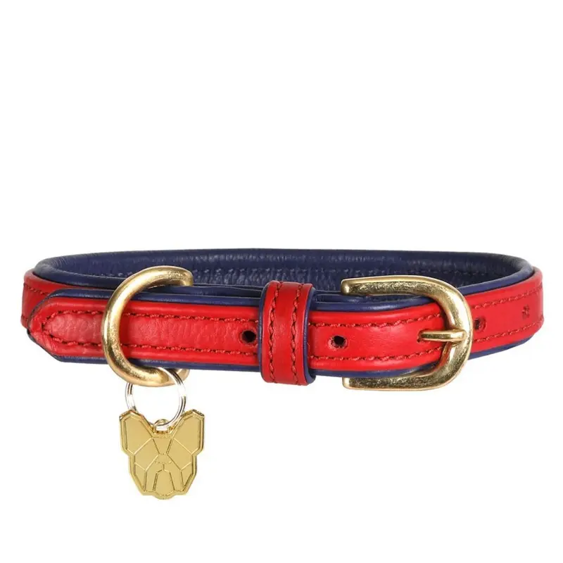 Digby & Fox (M - Neckline: 41Cm-46Cm, Scarlet) Leather Padded Dog Collar