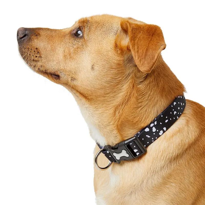 Pets At Home Dot Print Dog Collar Black Large-X Large