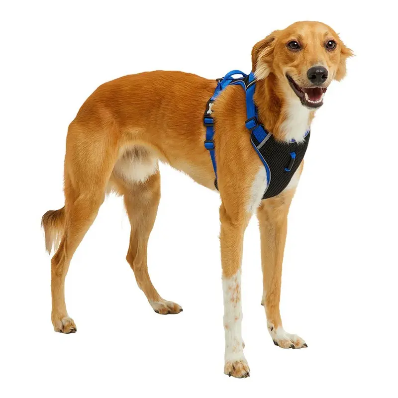 Pets At Home Padded Dog Harness Blue Large