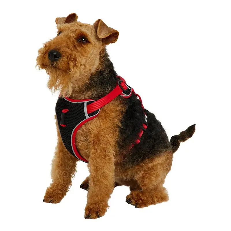Pets At Home Padded Dog Harness Red Small