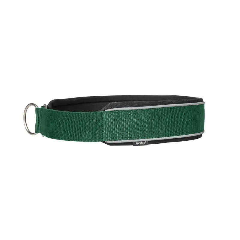 Back On Track Vert Dog Collar Charlie