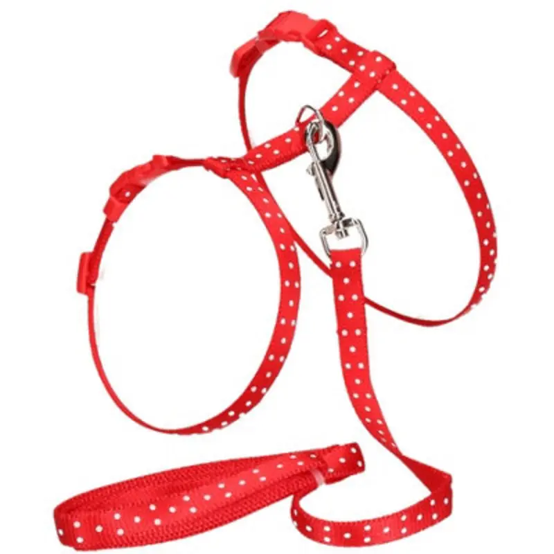 Ab Tools Small Animal Poka Dot Harness & Lead (Neck14-20/Chest18-28Cm) Red