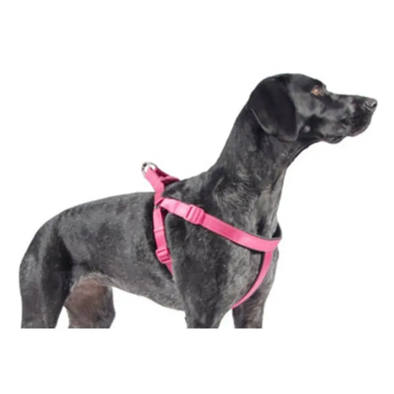Ancol Nylon Padded Reflective Harness, Small