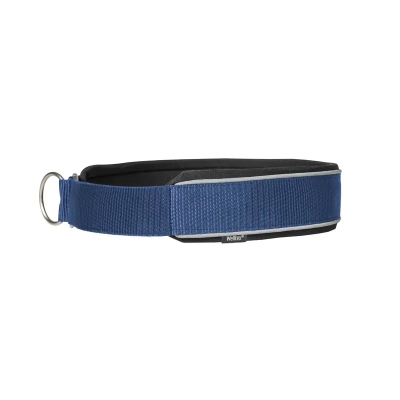 Back On Track Bleu Dog Collar Charlie