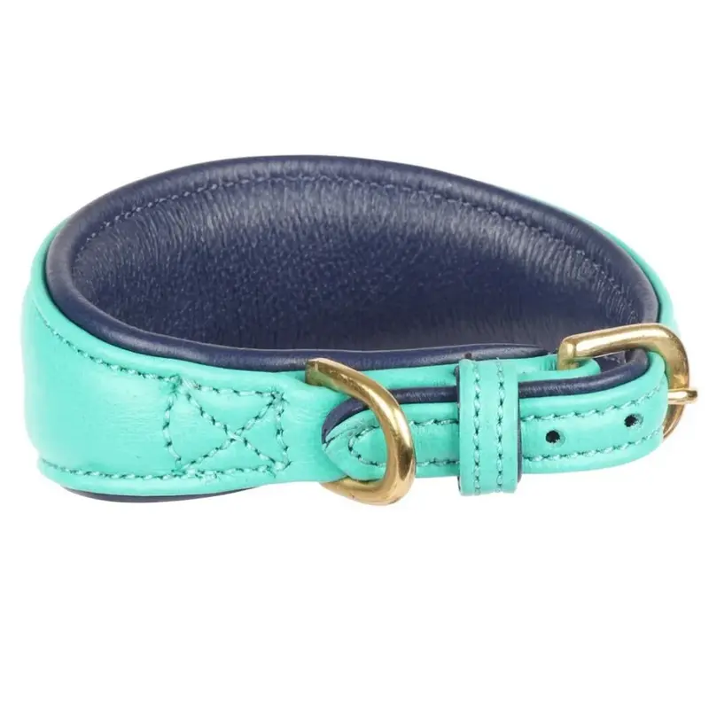 Digby & Fox Blue (L - Neckline: 35Cm-39Cm, Teal) Leather Padded Greyhound Dog Collar