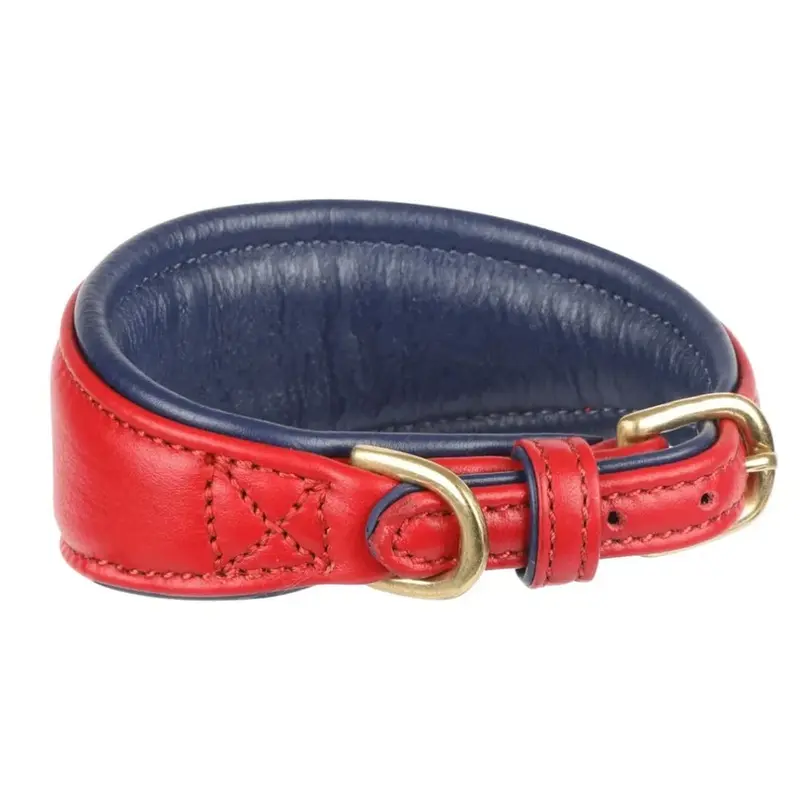 Digby & Fox (M - Neckline: 29Cm-34Cm, Scarlet) Leather Padded Greyhound Dog Collar