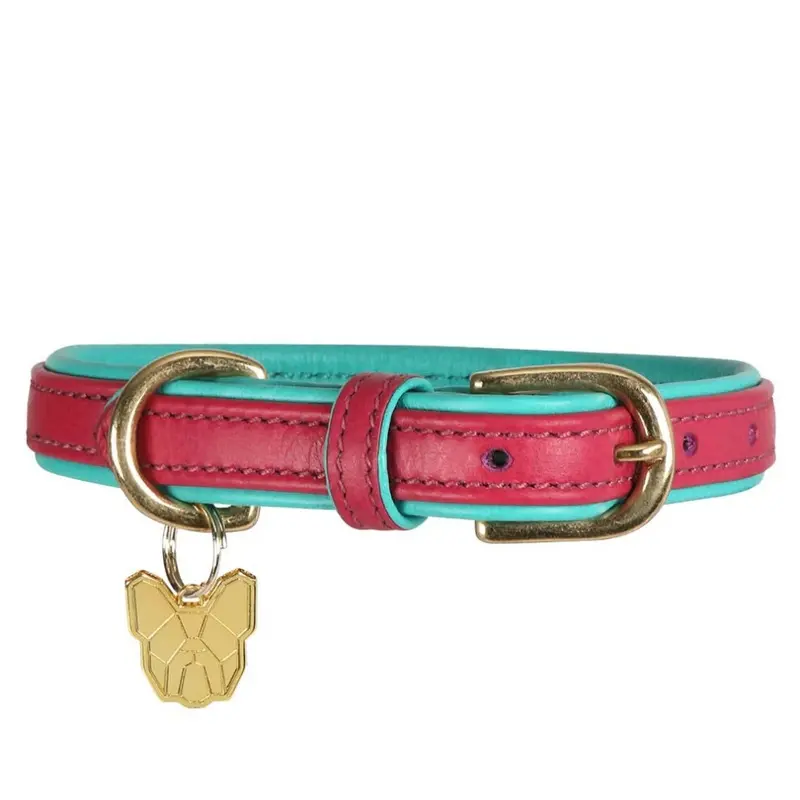 Digby & Fox Pink (M - Neckline: 41Cm-46Cm, ) Leather Padded Dog Collar