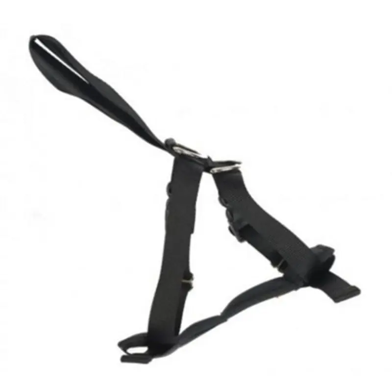 Rac 2 In 1 Car Harness Med Max Chest 41-58Cm (16-23")