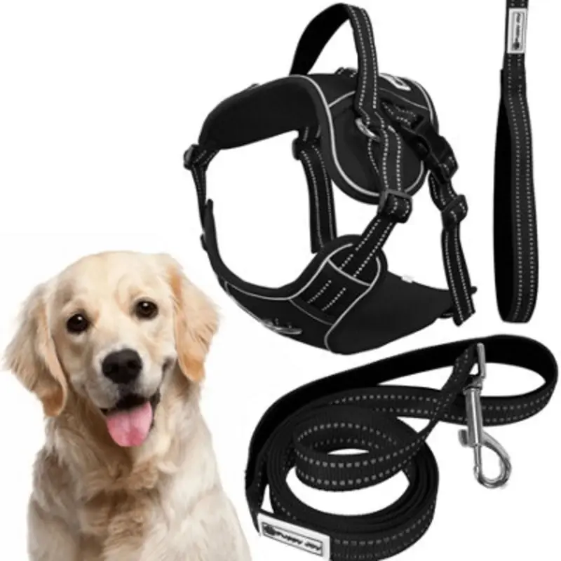Tutumi Leash And Harness Pj-063 Xl Black