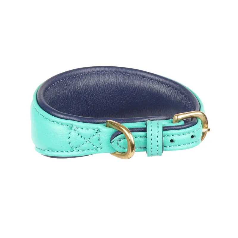 Digby And Fox Padded Greyhound Dog Collar Teal - Large