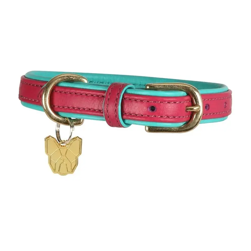 Digby And Fox Padded Leather Dog Collar - / Pink Medium