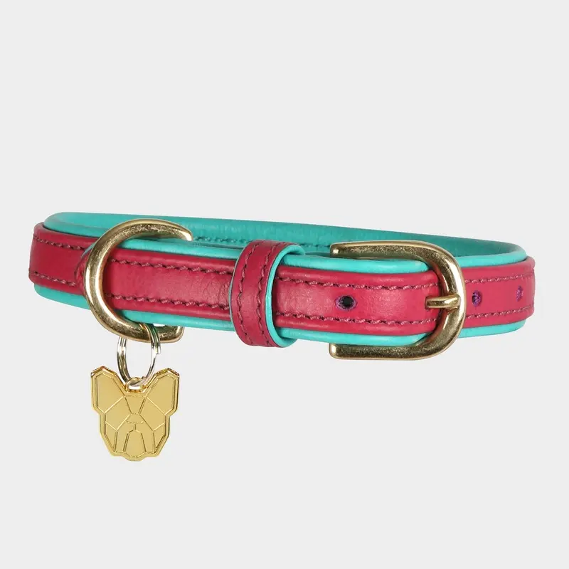 Digby & Fox Unisex Padded Leather Dog Collar, Pink Extra Small