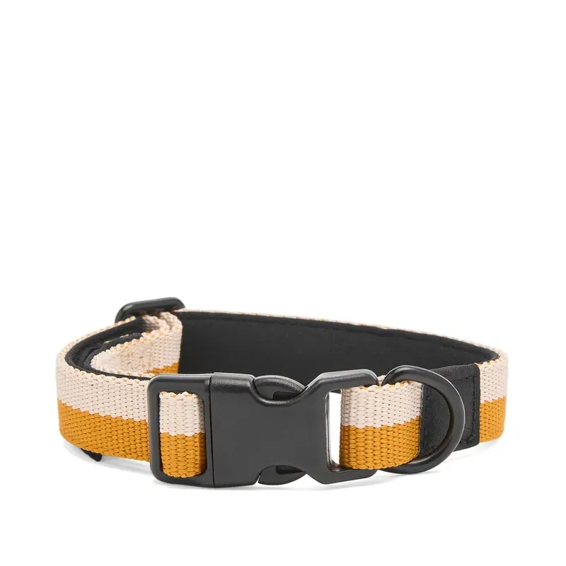 Hay Unisex Off-White/Ochre Flat Dog Collar - Small/Medium