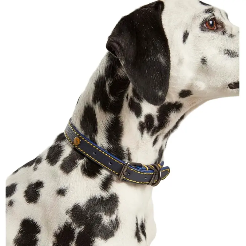 New Joules Leather Dog Collar
