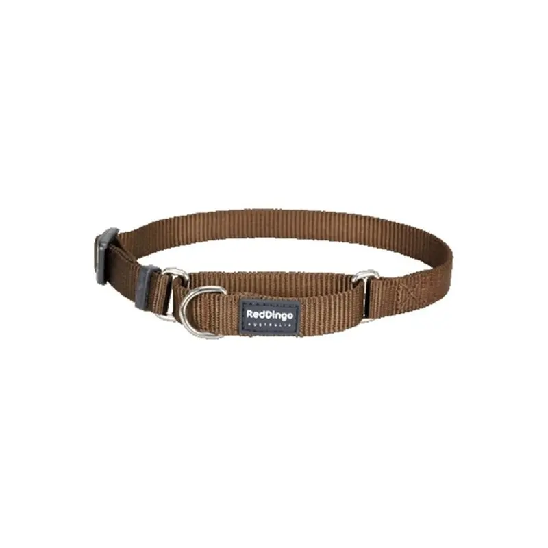 Red Dingo Red,Brown Martingale Dog Collar Classic Brown, Medium