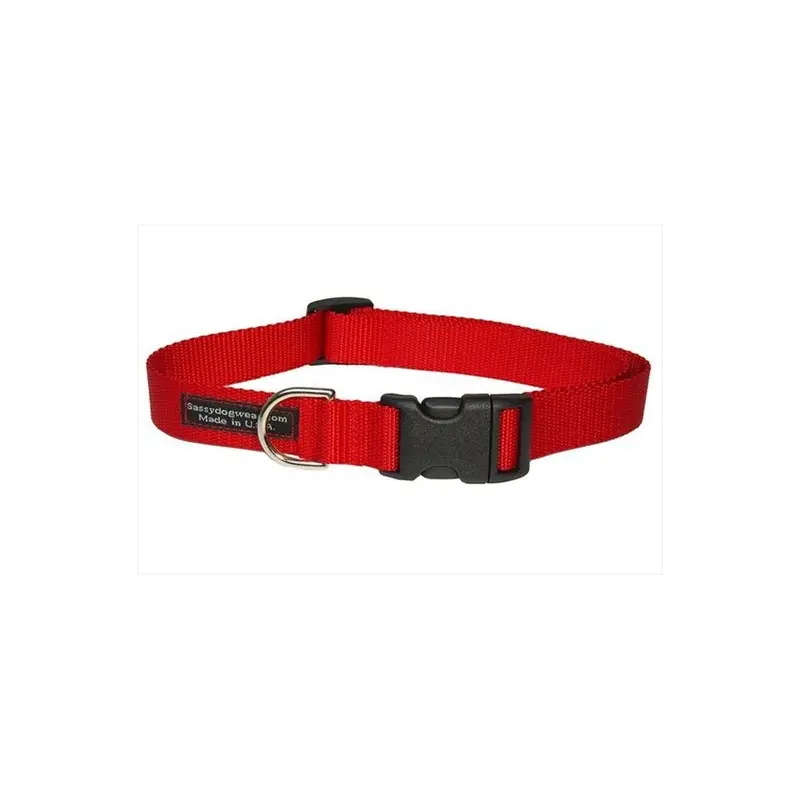 Sassy Dog Wear Red Solid Lg-C Nylon Webbing Dog Collar, - Large