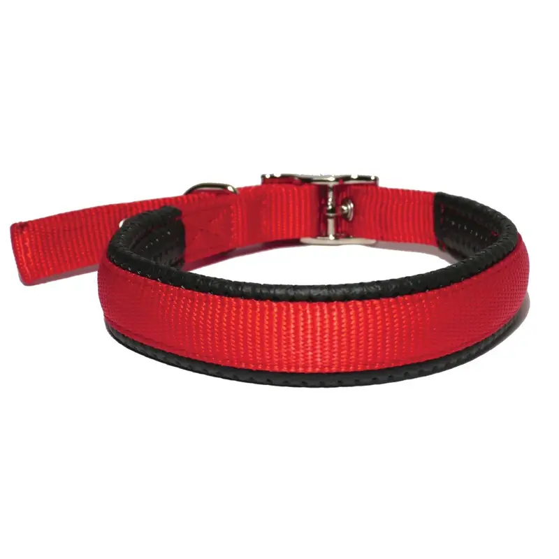 S/PROT DOG COLLAR 1 X 24 In RE