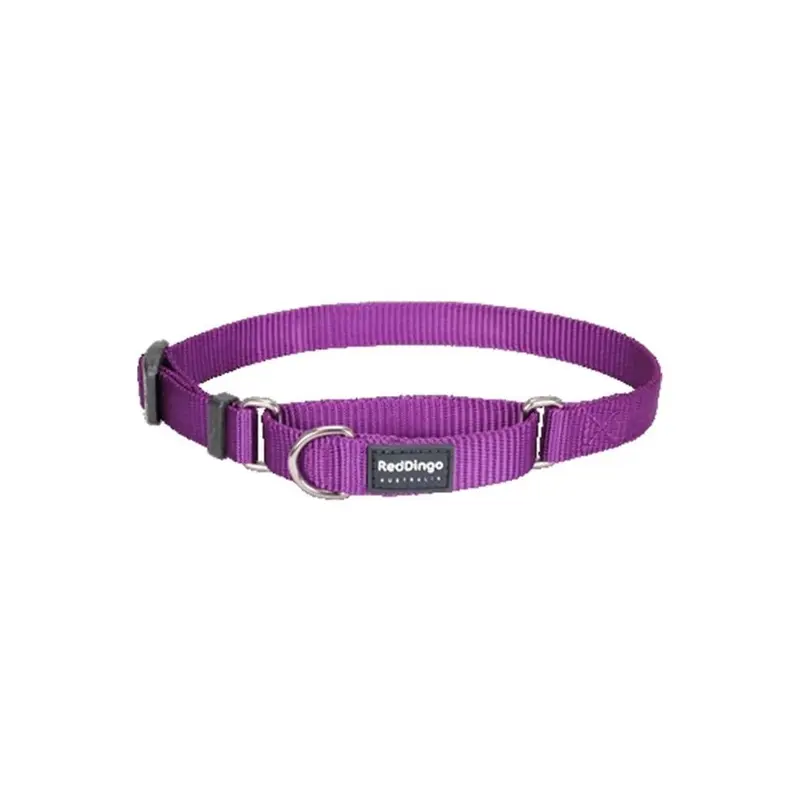 Red Dingo Red,Purple Martingale Dog Collar Classic Purple- Large
