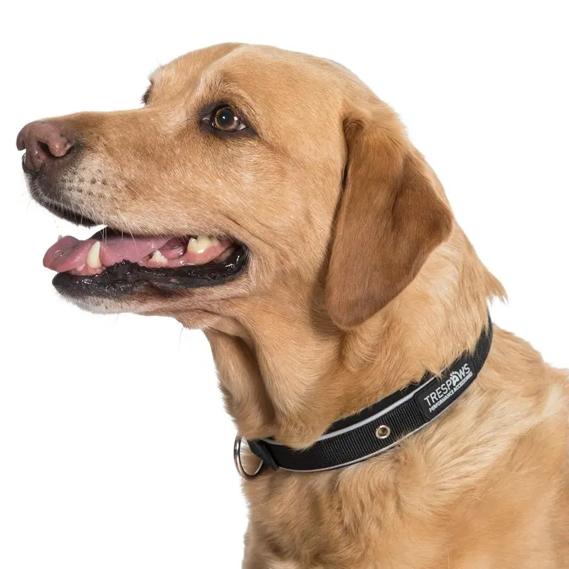 Trespass Unisex Black Trespaws Reflective Dog Collar Keira Large