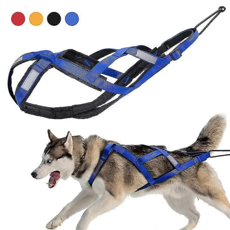 Kikidex Blue (, M) Dog Sledding Weight Pulling Harness Reflective For Pets Training