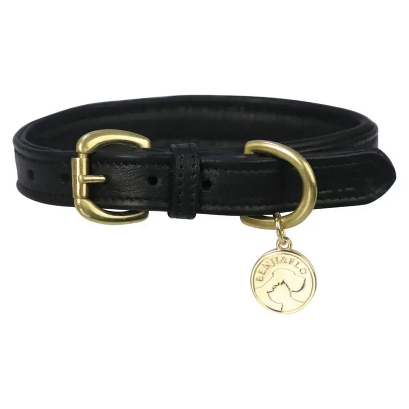 Benji & Flo Black (L- Length: 41Cm-56Cm, /Brass) Deluxe Leather Padded Dog Collar Size 1