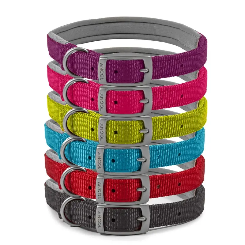 Forest Pet Supplies Blue Viva Padded Collar (Black, Red) Size 5