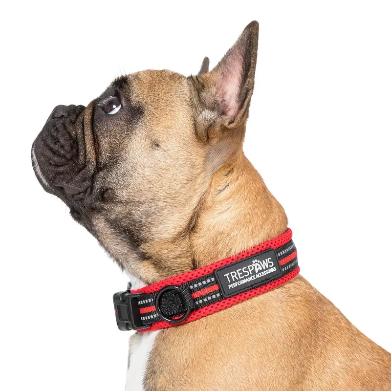 Trespass Unisex Red Reflective Padded Dog Collar Scooby Small