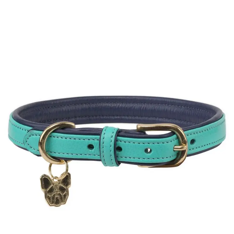 Digby & Fox Blue (Xl - Neckline: 58Cm-64Cm, Aqua) Leather Padded Dog Collar