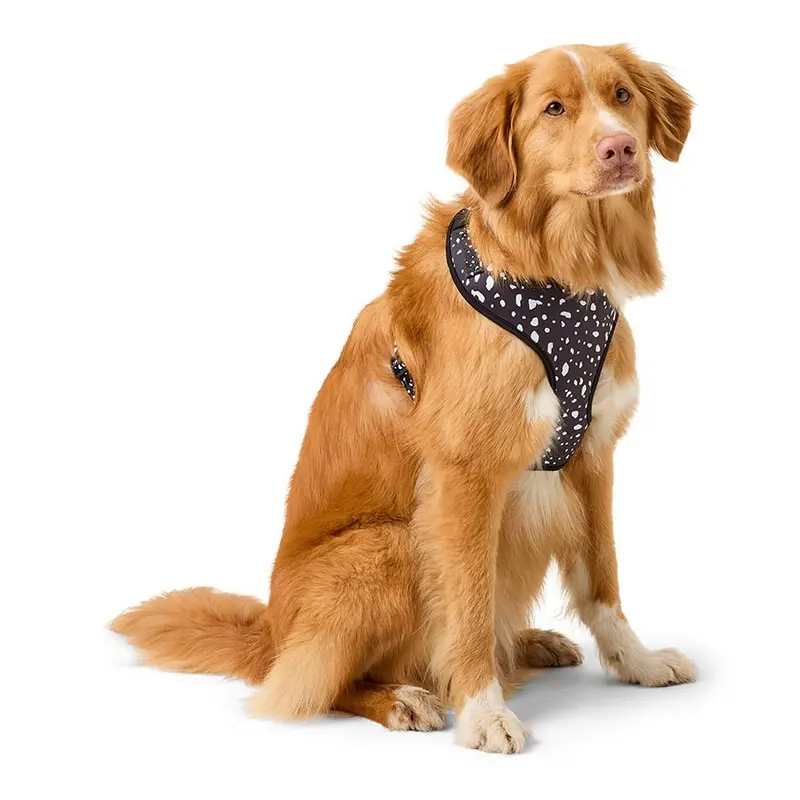 Pets At Home Dot Print Dog Harness Black Large