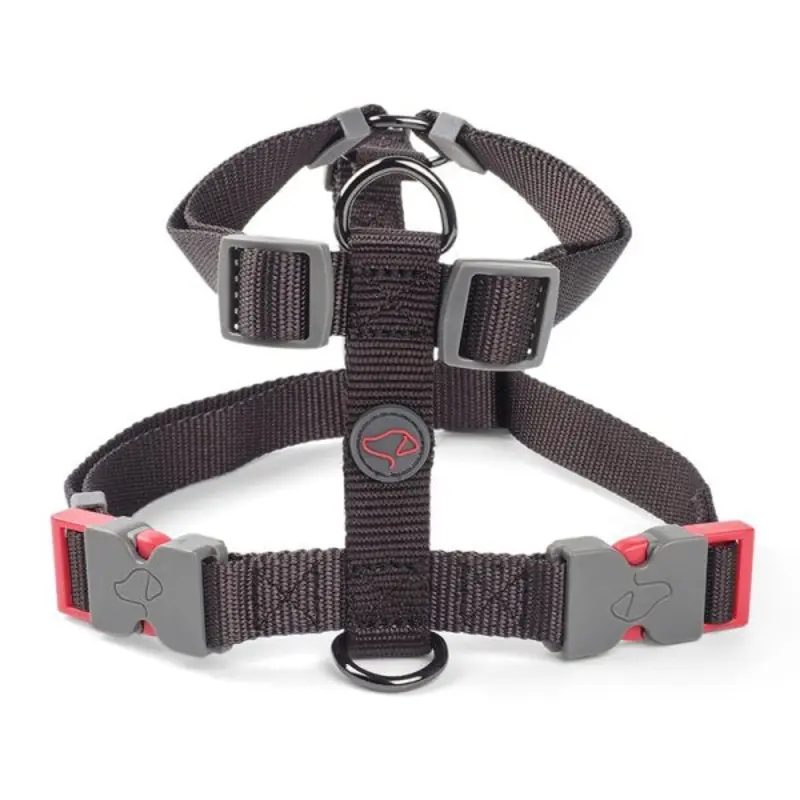 Zoon Black Dog Harness - : Large