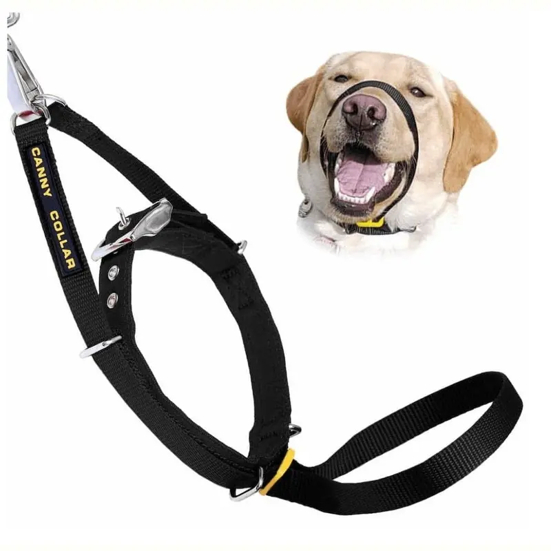Canny Collar Black - Stop Pulling | : -28Cm | Color: Size 1