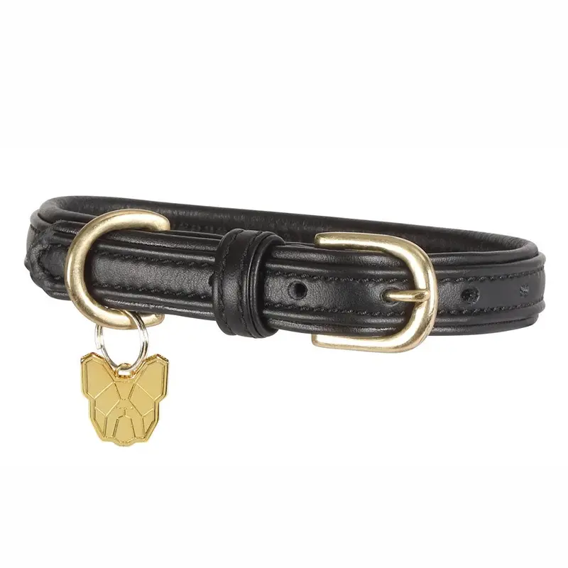 Digby & Fox Black Padded Leather Dog Collar - : Extra Large