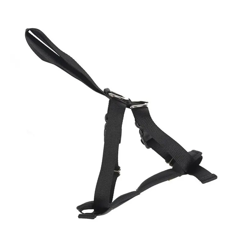 Rac Car Dog Harness - 56 - 89Cm Extra Large
