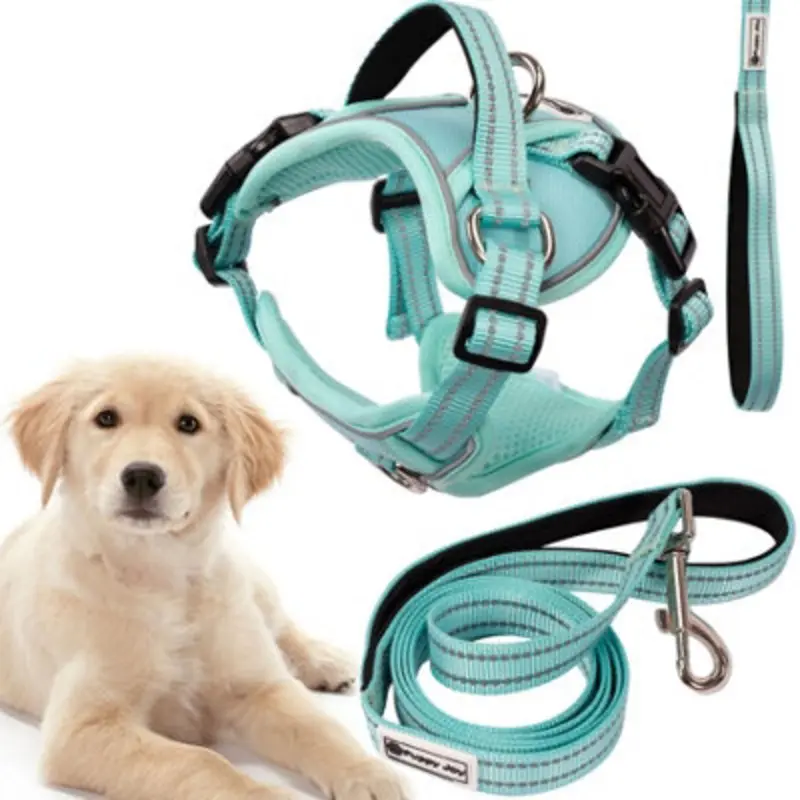 Tutumi Leash And Harness Pj-061 L Green