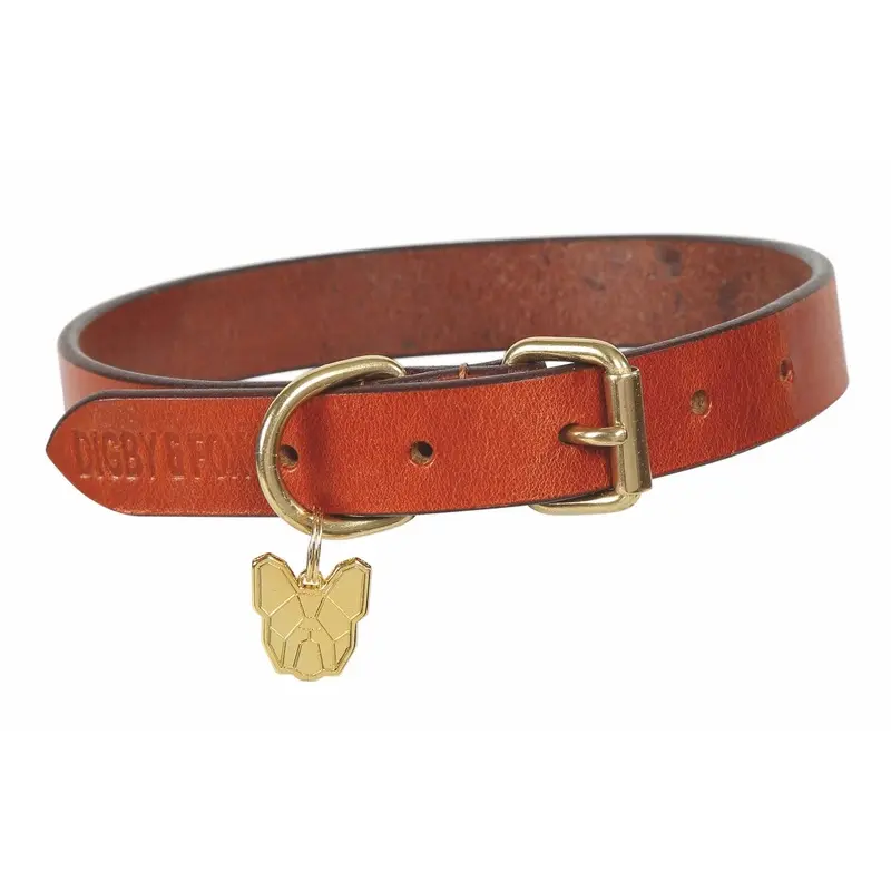 Digby And Fox Flat Leather Dog Collar Tan - Large