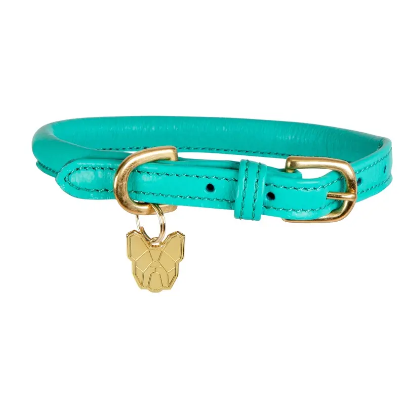 Digby And Fox Rolled Leather Dog Collar Teal - Extra Large