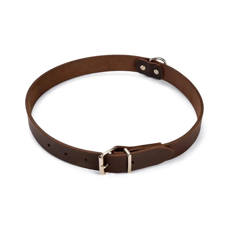 Karlie Rondo Collar Riveted Length 70 cm Width 25 mm Brown