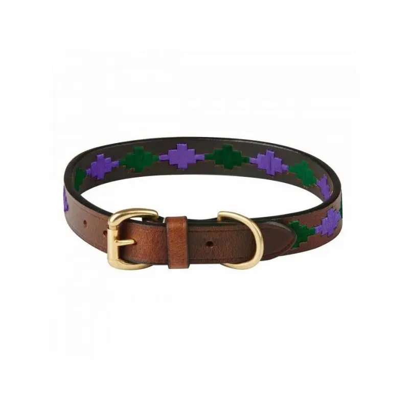 Weatherbeeta Polo Dog Collar - Beaufort /Teal - Brown/Purple Extra Extra Large