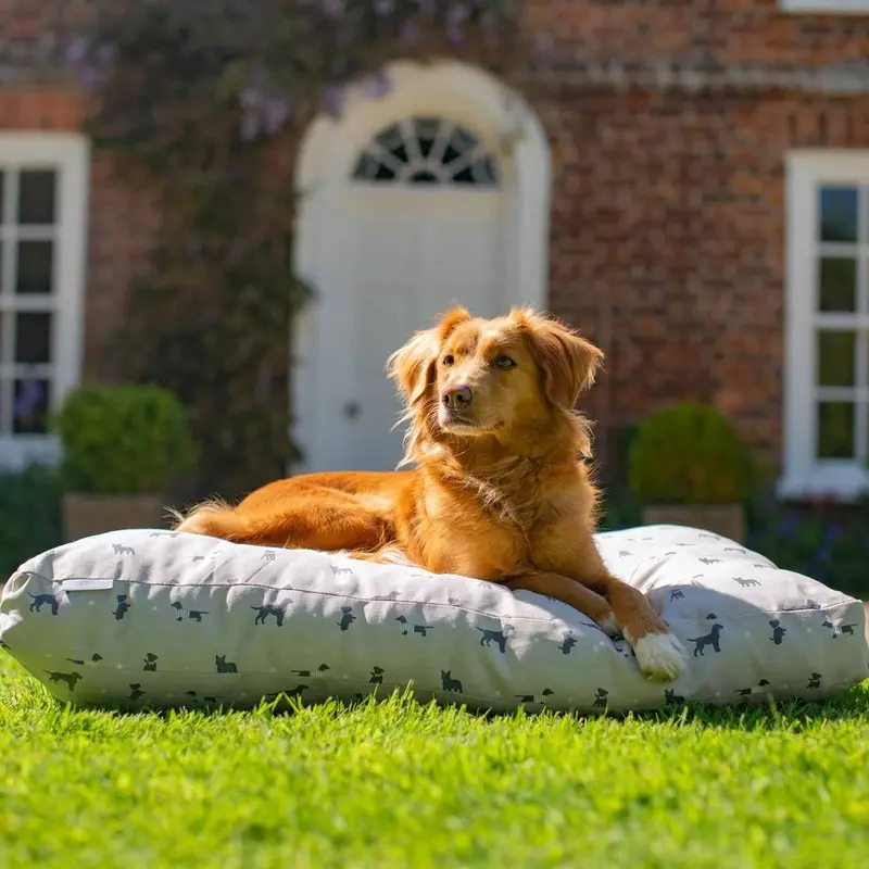 Sleepeze Dog Cushion in Plain Cosmopolitan Dog by Lords & Labradors