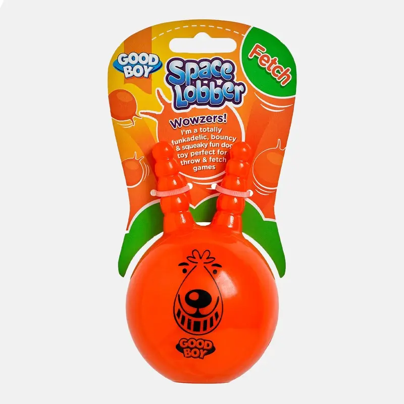 Good Boy Space Lobber Fetch