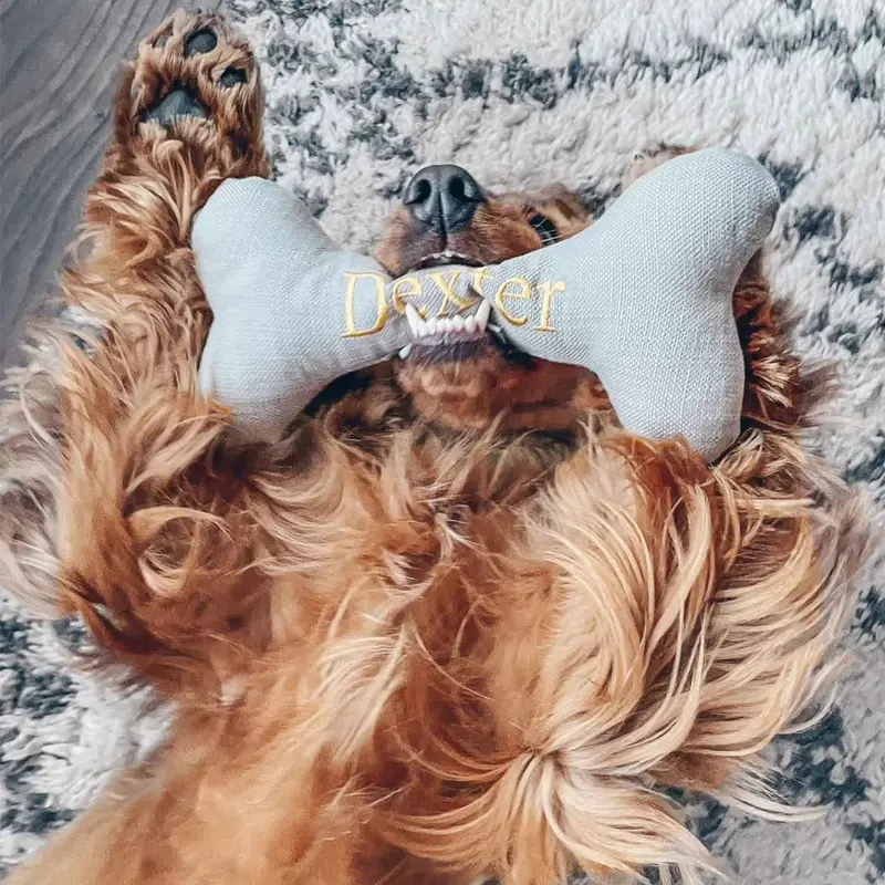 Bone Dog Toy in Savanna Stone by Lords & Labradors